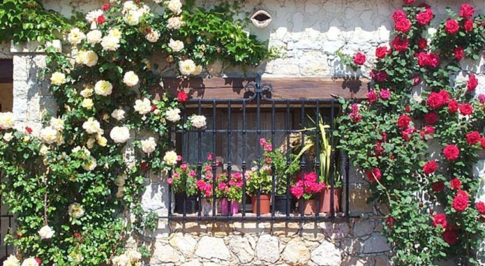 Castel Garoupe Hotel Antibes Buitenkant foto